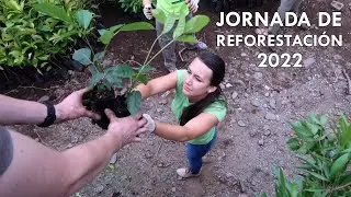 This is how the 2022 Reforestation Day began | We collected 5,000 trees! | ENGLISH SUBS