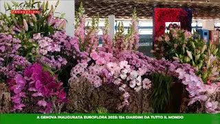 A Genova inaugurata Euroflora 2025: 154 giardini da tutto il mondo