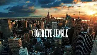 [ hard ]  trap dancehall type beat 