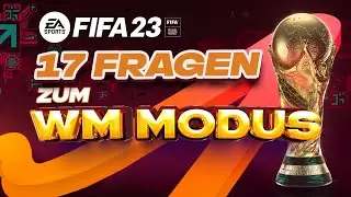 17 FRAGEN zum WM MODUS beantworten 🏆 FIFA23 - FAQ