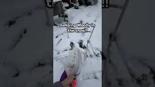 His fist time seeing snow!! #christmas #music #horse #hobby #hobbyhorse #trend #shorts