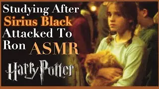 You Decided Studying At Gryffindor Common Room After Hearing Sirius Black Attacked To Ron ASMR ⚡️