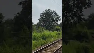 inko Bata dun mere Dil ki Chahat #hindisong #love #shortvideo #viralvideo #viral #englishsongs 2025