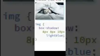 CSS filter drop shadow