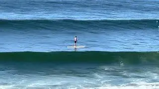 Paddle boarding off Cronulla beach