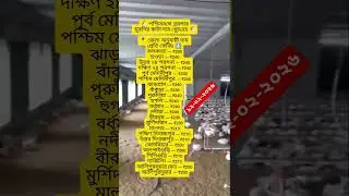 আজকের ব্রয়লার মুরগির কাটা দাম 🔥 | West Bengal Chicken Price Today