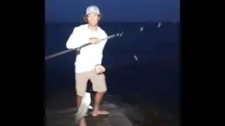 Giant Bait Didn&rsquo;t Last Long &ndash; Monster Strike Off the Jetty! #fishing 