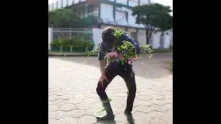 Never touch magic plants