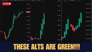 THESE ALT COINS ARE COINS YOU CANNOT MISS IN THIS GEOPOLITICAL CRISIS