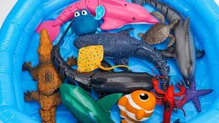 [🦈toy asmr🦈] Sea Animal Toys & Killer Shark & Shark Toy Collection ASMR | Satisfying With Unboxing