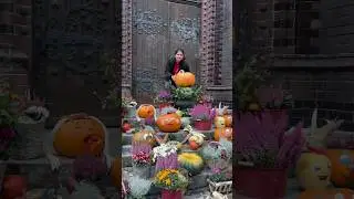 Pumpkin festival Germany 🇩🇪