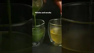 What's The Difference Between Sencha and Matcha? #sencha