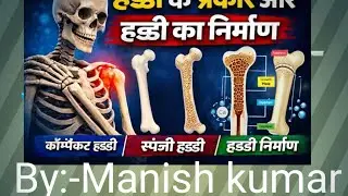 Bone Formation & Types of Bones | Easy Anatomy Explanation !#education #mbbsadmission 