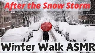 Snowstorm Aftermath Walk | ASMR Winter Natural Sounds Experience #asmrsounds #asmr #snow #nomusic
