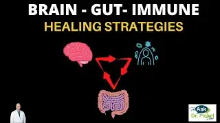 LEAKY GUT and BRAIN FOG SOLUTIONS