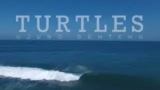 Turtles Point Surfing | West Java