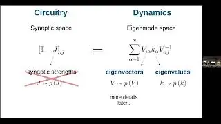 Lorenzo Tiberi - Hidden synaptic structures control collective network dynamics