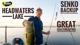 Headwaters lake with a Senko backup and a great Chatterbait bite!