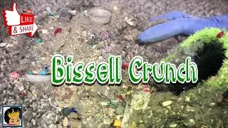 LET&rsquo;S MAKE THIS QUICK 🍃 | Bissell PowerTrak