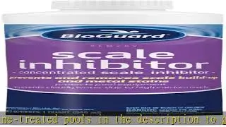 BioGuard Scale Inhibitor - Quart