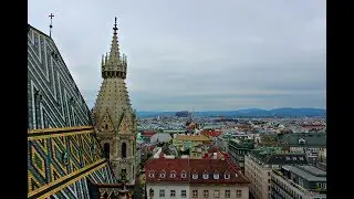 Уличный музыкант круто играет на ханге. Вена. Австрия.