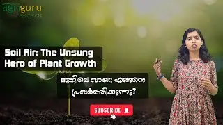 Soil Air: The Unsung Hero Plant Hero | Farm Assistant | soil air | Kerala PSC