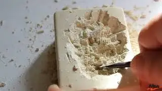 DISCOVERY KIT - Finding a dino fossil