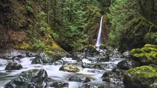 Reconnoitering The Rosewall Creek