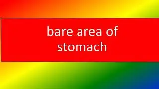 BARE AREA OF STOMACH