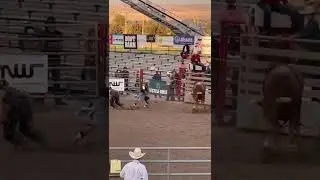 Sideways launched!#shorts #america #rodeovideos #rodeo #crazyanimals #idaho #ultimatebullriders