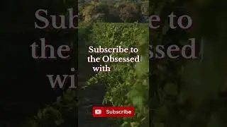 Join the Obsessed with Wine Podcast