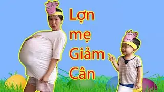 H&agrave;nh tr&igrave;nh giảm b&eacute;o của heo mẹ- Su Family