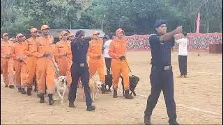 Ndrf dog training passing out parade