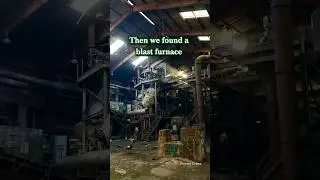 This Was Hidden In the Forest