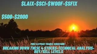 #LAIX-#SCI-#WOOF-#SFIX-$500-$2000-Technical Analysis-Buy/Sell Levels