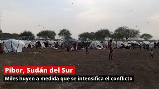 Pibor, Sud&aacute;n del Sur: Miles huyen a medida que se intensifica el conflicto