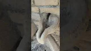 &Pi;&alpha;&nu;έ&mu;&omicron;&rho;&phi;&eta; &kappa;&alpha;&rho;&delta;&iota;ό&sigma;&chi;&eta;&mu;&eta; &kappa;&rho;ή&nu;&eta; / Beautiful heart-shaped fountain
