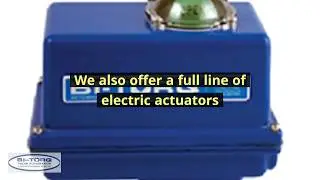 Actuators Available at BI-TORQ