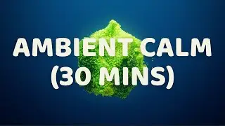 Ambient Calm 🌿 30 Minutes &middot; Sensory Regulation for ASD &middot; No Lyrics