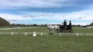 Heibing 24-04-16 DressurCup