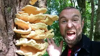 LIVE! Wildlife Wednesday With The FUNgi Guy