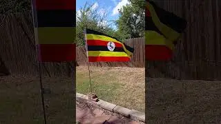 Big flag of Uganda waving in the wind