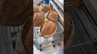 🌀 Shaping a Perfect Boule 🌀