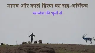 Human Animal Coexistence