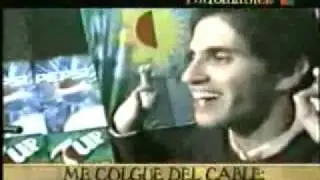 el festival de la alegria