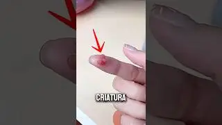 Rescat&oacute; una Criatura Diminuta y Descubri&oacute; Algo Incre&iacute;ble