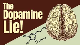 Dopamine Prediction Error: Why Your Brain Stops Caring After Success (And How to Fix It)