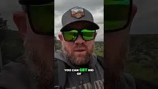 Cut Backpack Straps WARNING Before You Snip, Watch This!