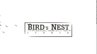 Bird's Nest Studio | INTRO