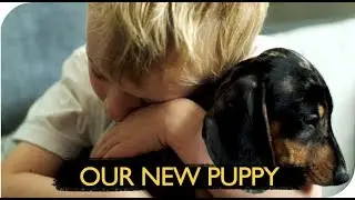 OUR NEW PUPPY | THE MICHALAKS
